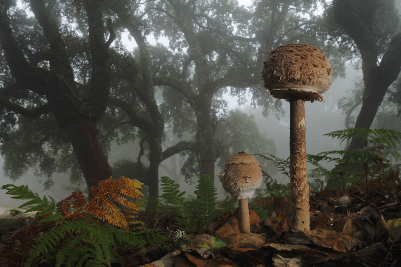 Illustration for article titled 14 fascinantes fotos del concurso National Geographic Traveler